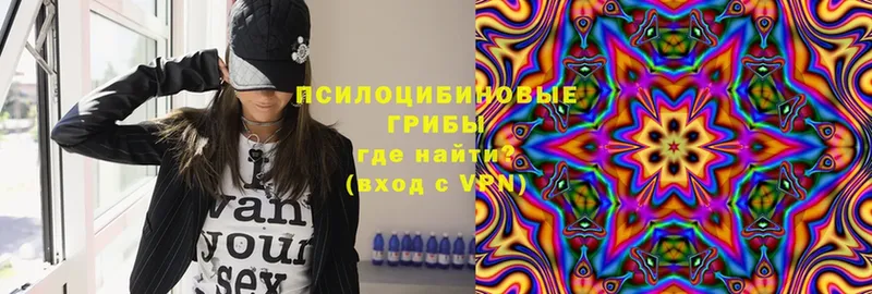 наркошоп  Белёв  Галлюциногенные грибы Magic Shrooms 